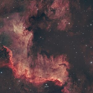 Cygnus Wall