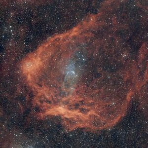 Sh2-129 im Sternbild Cepheus