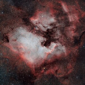 NGC 7000 - Nordamerikanebel in HOO