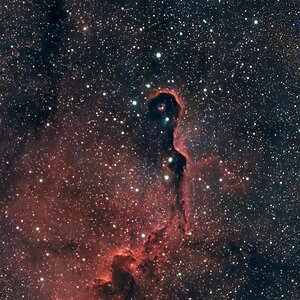IC 1396A 2026-09-14 250mm S50 LP SirilPs.jpg