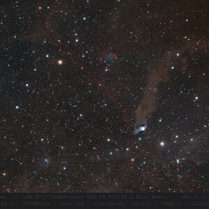 LDN-1217_PK111+11.1_APP_Astro420mm_.jpg