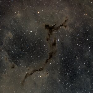 Seahorse Nebula