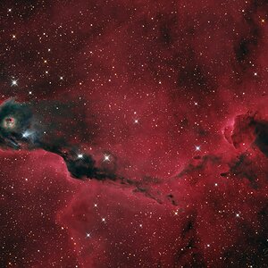 IC 1396A, der Elefantenrüssel-Nebel