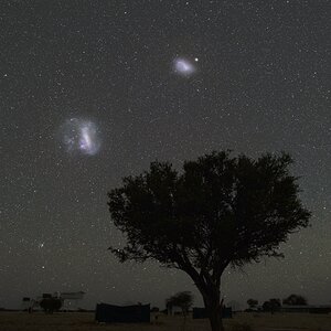Magellansche Wolken in Namibia
