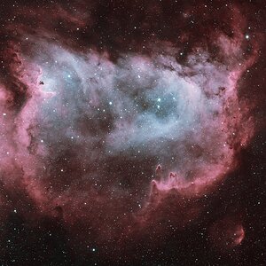 Seelennebel - IC 1848
