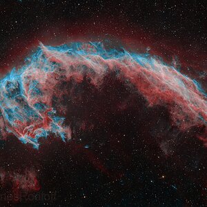 The Eastern Veil Nebula