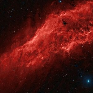 California Nebula