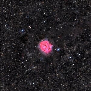 Kokon Nebel & Barnard 168