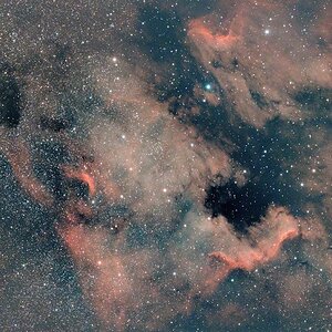 NGC7000.-Seestar_S50pro.jpg