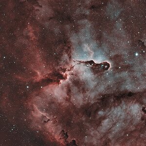IC 1396A - Elefantenrüsselnebel