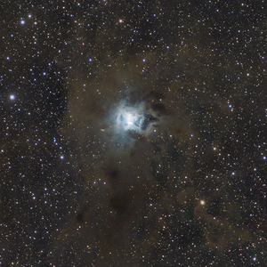 Iris Nebel · Caldwell 4 | NGC 7023