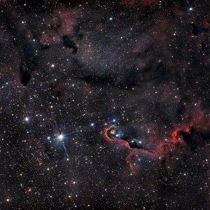 Elefantenrüsselnebel IC 1396A