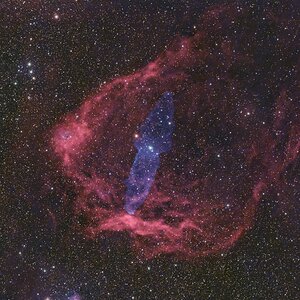 Sh2-129 im Sternbild Kepheus