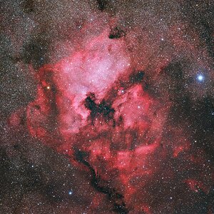 NGC 7000 / IC 5070, Nordamerika- und Pelikannebel