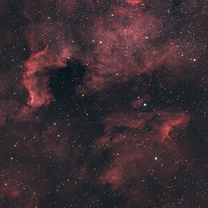 NGC 7000 | Mosaik