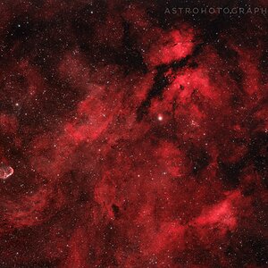 Widefield IC1318