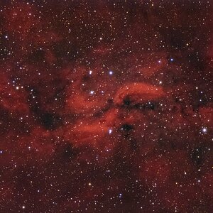 Propellernebel_Simeis57_firstlight