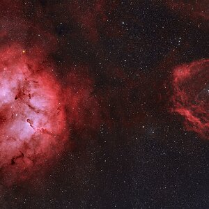 IC 1396 und Sh2-129 - Ein Rüssel, eine Fledermaus und ein Hauch von Tintenfisch