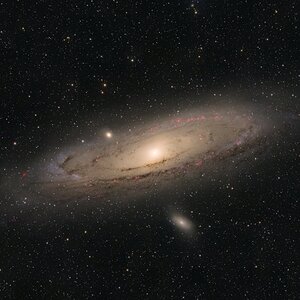 m31(2026)