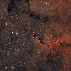 IC 1396A - Elefantenrüsselnebel