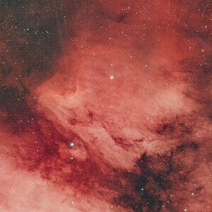 NGC7000 11x300 Sekunden Gain0 -10c L-Ultimate Filter