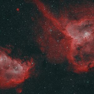 IC1805.jpg
