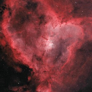 IC1805.jpeg
