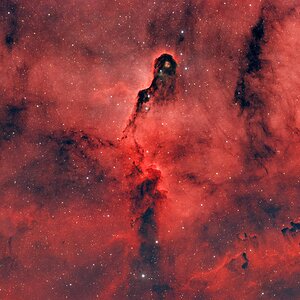 IC1396A Elephant Trunk Nebula