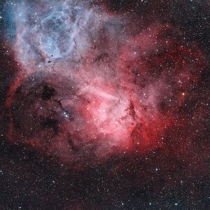 SH2- (Lionshead)