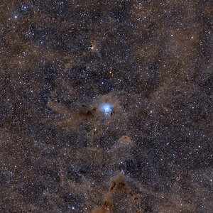 Ngc7023 widefield