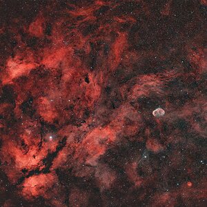 Sadr-Region mit NGC 6888 & IC 1318