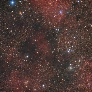 LBN496 - farbige Sternenpracht plus Dunkelnebel
