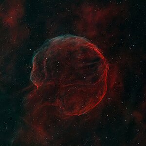 LBN576 CTB1 Medulla Nebel