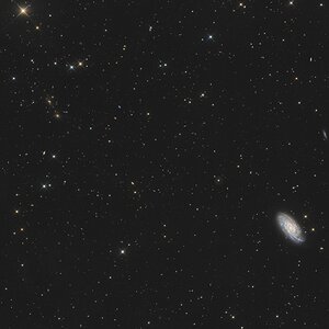 NGC 6643 mit Abell 2306 im Drachen