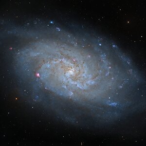 M33
