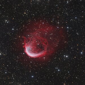 Sh2-188 DIe kosmische Garnele
