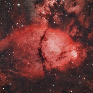 IC 1795 Fischkopf Nebel