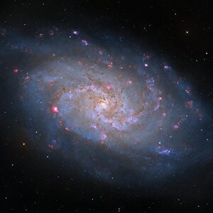 M33