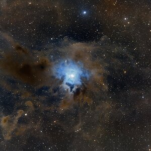 NGC 7023 der Iris Nebel