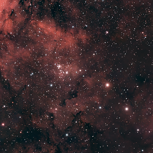 NGC 6910_Sternhaufen
