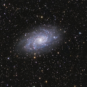 M33 die vierte