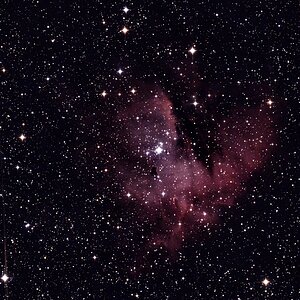 IC 1590/ Pacman-Nebel NGC 281