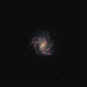 NGC 6946 – Feuerwerksgalaxie | 5 Stunden mit dem 120 EDX - first light
