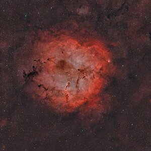 IC1396_5Std Widefield @250mm.jpg