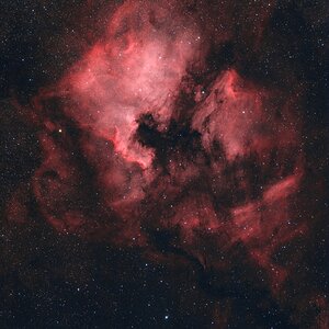 NGC7000