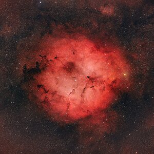 IC1396 der Elefantenrüssel-Nebel