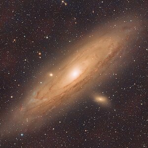 M31