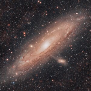 M31