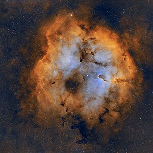 IC1396 und Umgebung