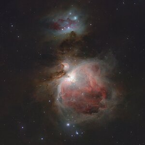 M42 mit dem Seestern